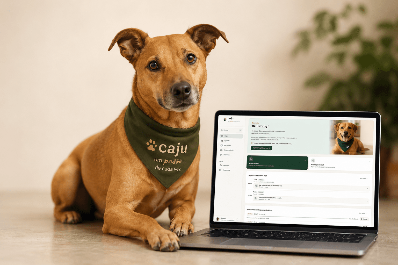 Caju, cão caramelo com bandana verde, com a pata sobre um laptop que mostra o painel do Caju.